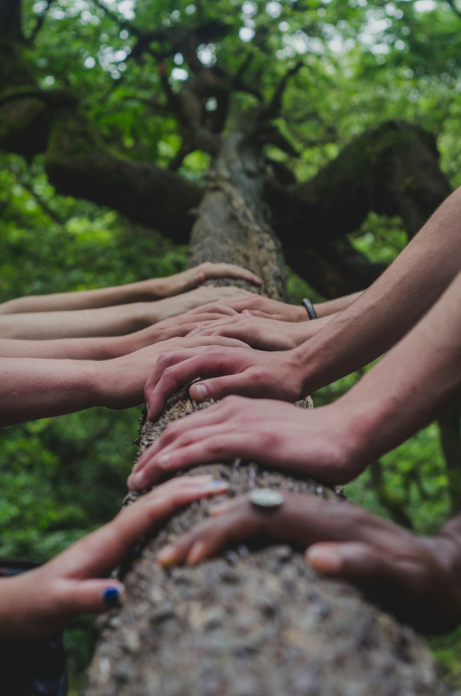 Building Stronger Connections Through Artistic Activities